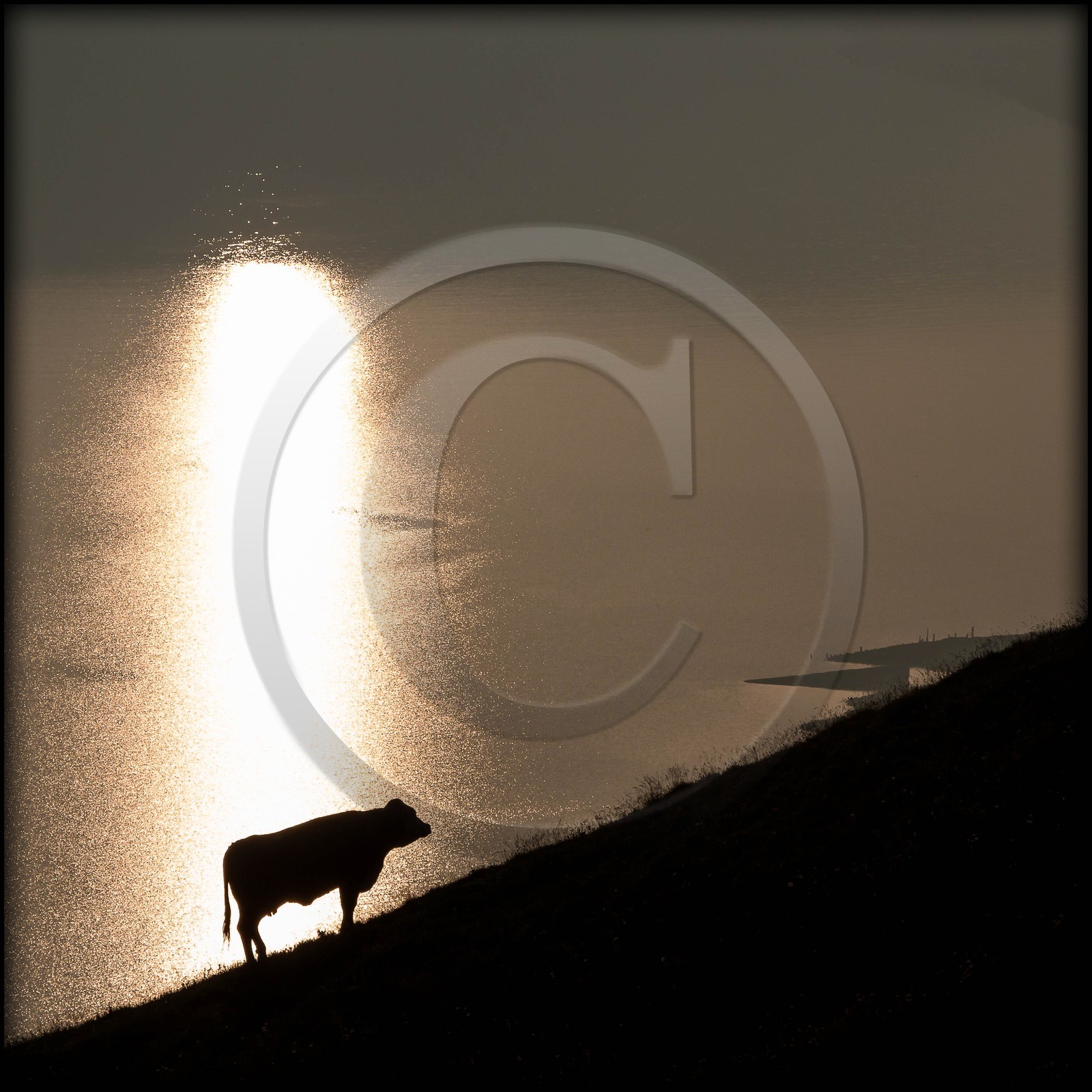 alpages du lac du Mont-Cenis