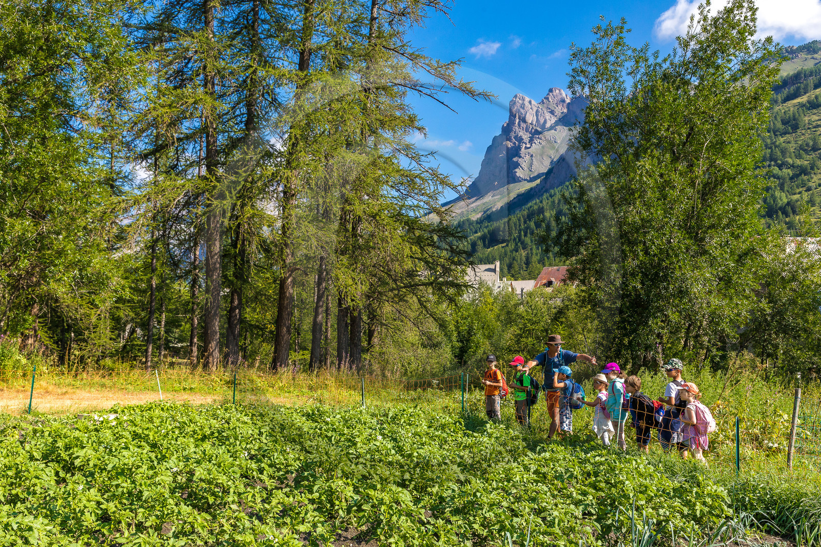 Curieux de nature, sortie découverte avec Cyril Mahout