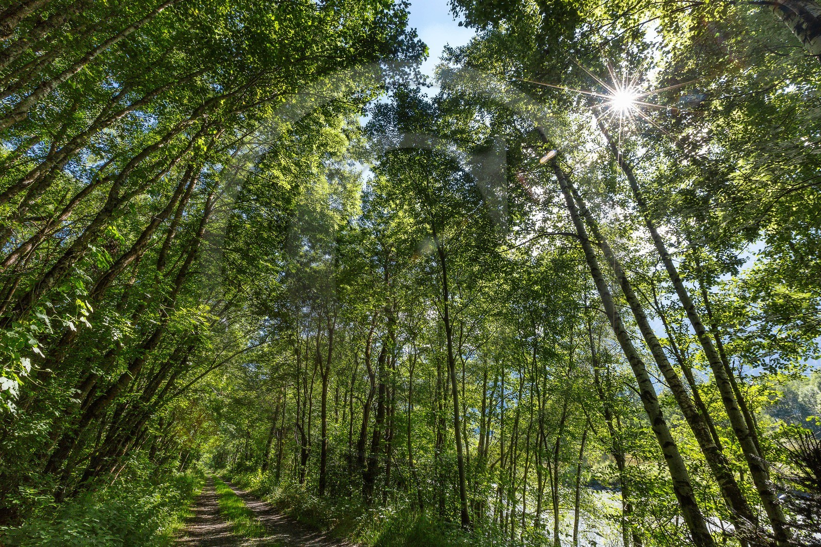 ENS de l'Isère, Vieille morte de Bourg d'Oisans