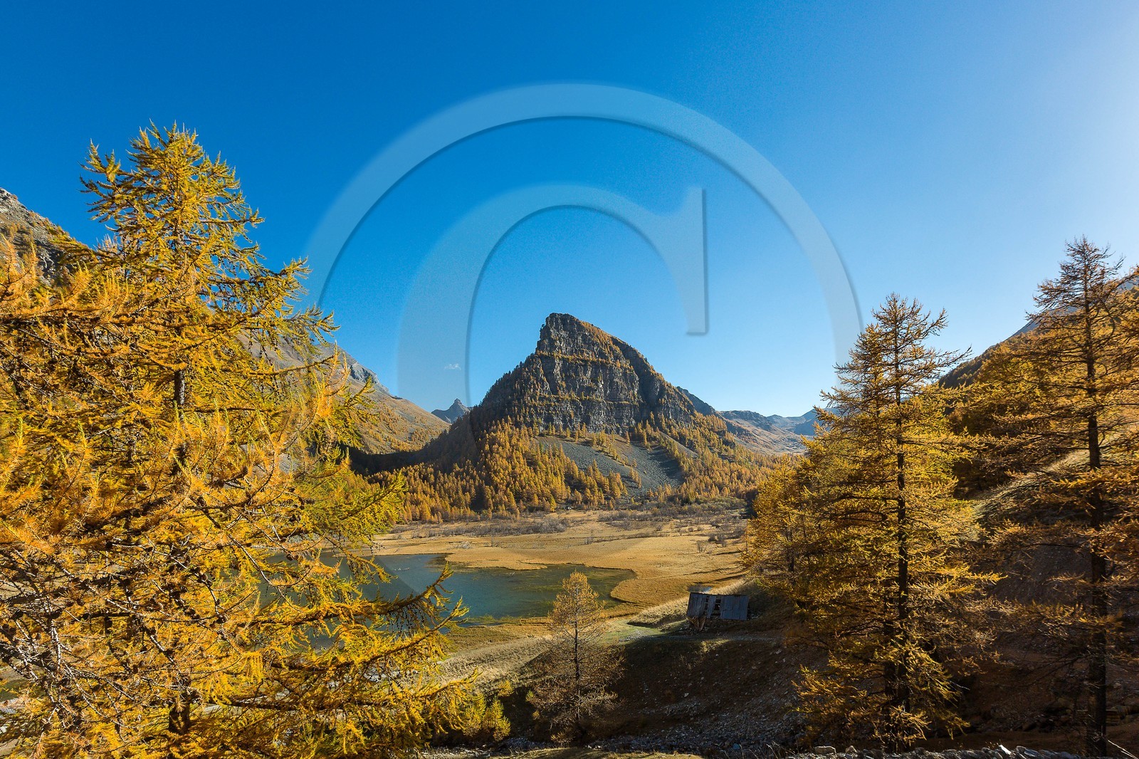 Jausiers, Lac des Sagnes et forêt de mélèzes à l'automne