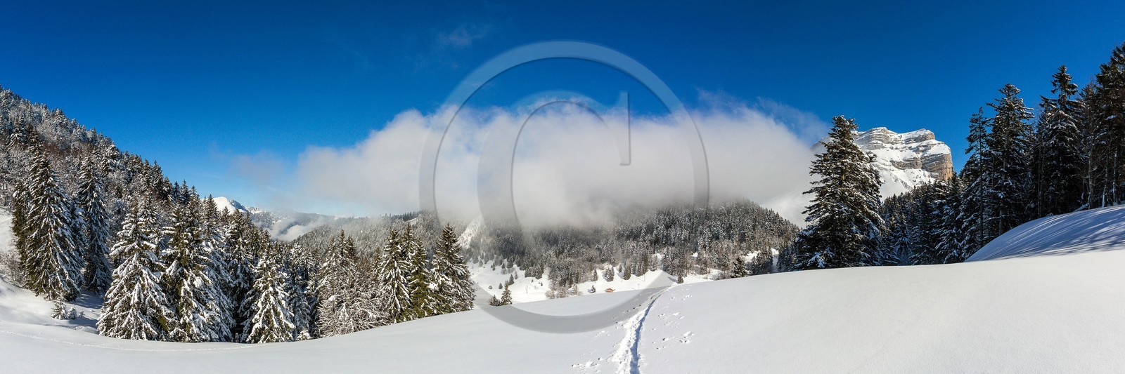 Espace naturel sensible de l'Isère, Col du Coq