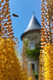 Château de Picomtal,  les jardins du château