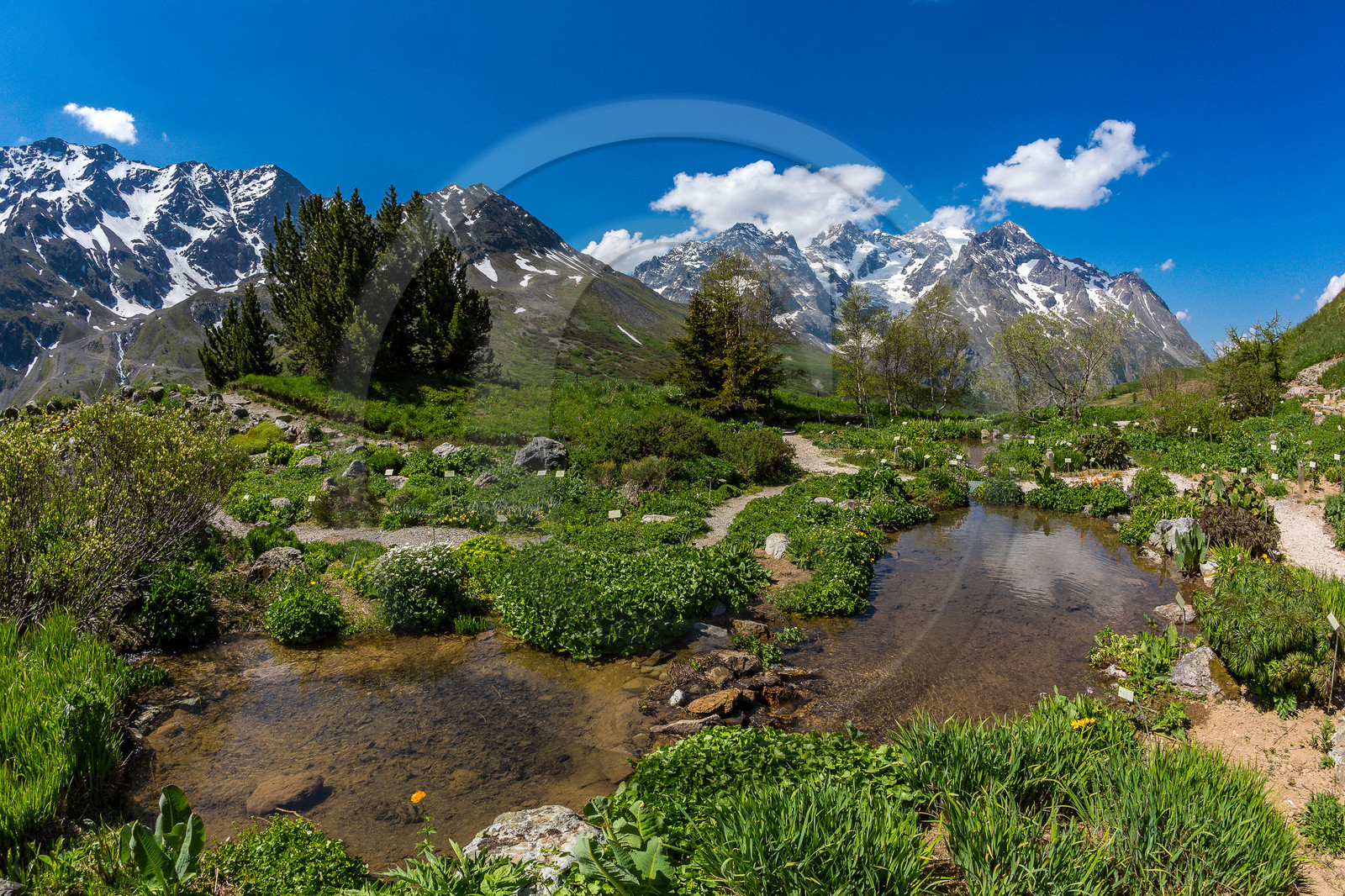 Jardin Botanique Alpin du Lautaret