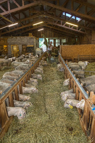 Bergerie de la Lignarre