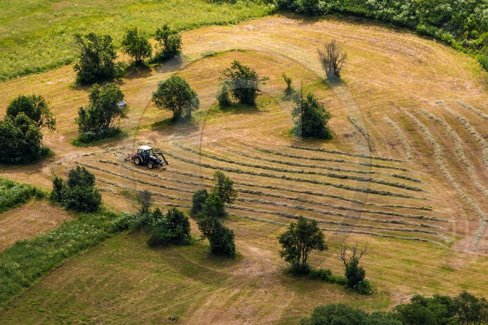 Fenaisons  à Bonneval-sur-Arc