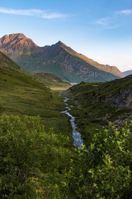 alpages du lac du Mont-Cenis