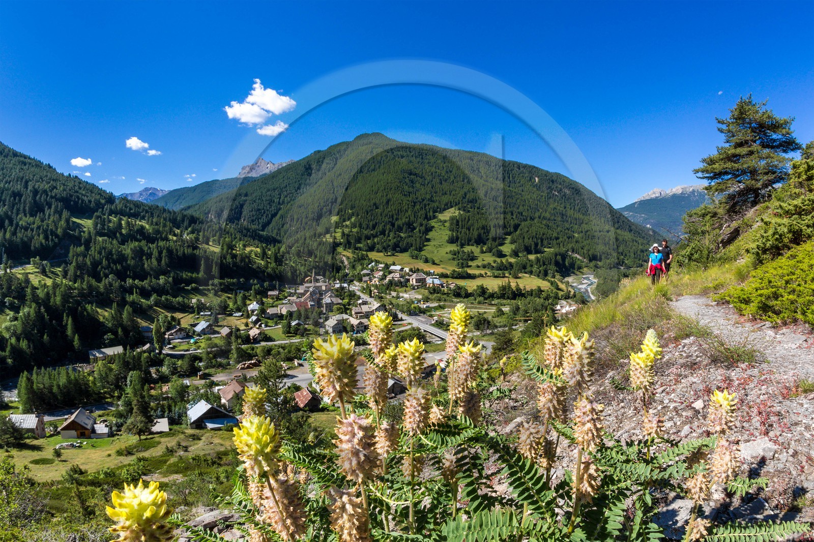 Château-Ville-Vieille, sentier des astragales