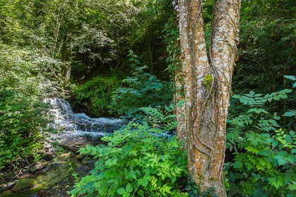 ENS de l'Isère, étang de Cote Manin