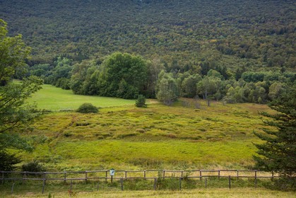 ENS de l'Isère,Tourbières du Peuil