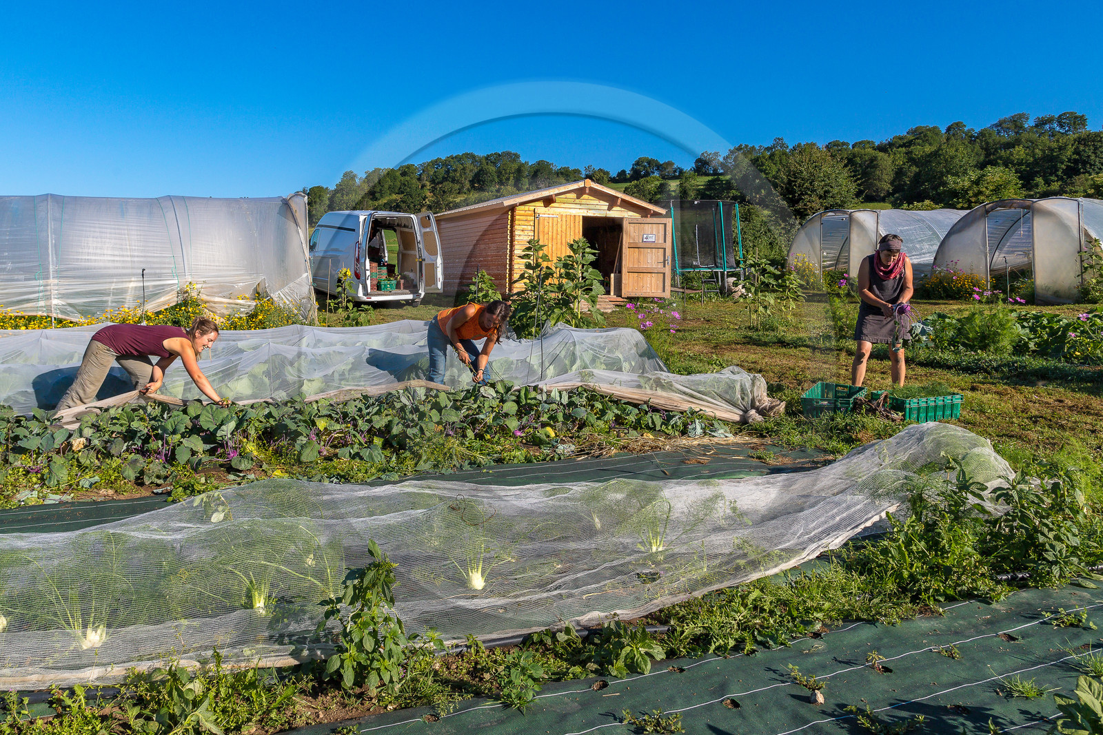 LéguMontagne, Sylvie Jaussaud et  Bertille Gieu, Maraîchères bio