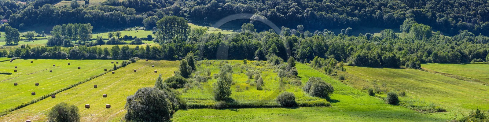 ENS de l'Isère, Marais de Chirens