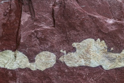 Vallée de la Tinée, Roubion, gorges de la Vionène