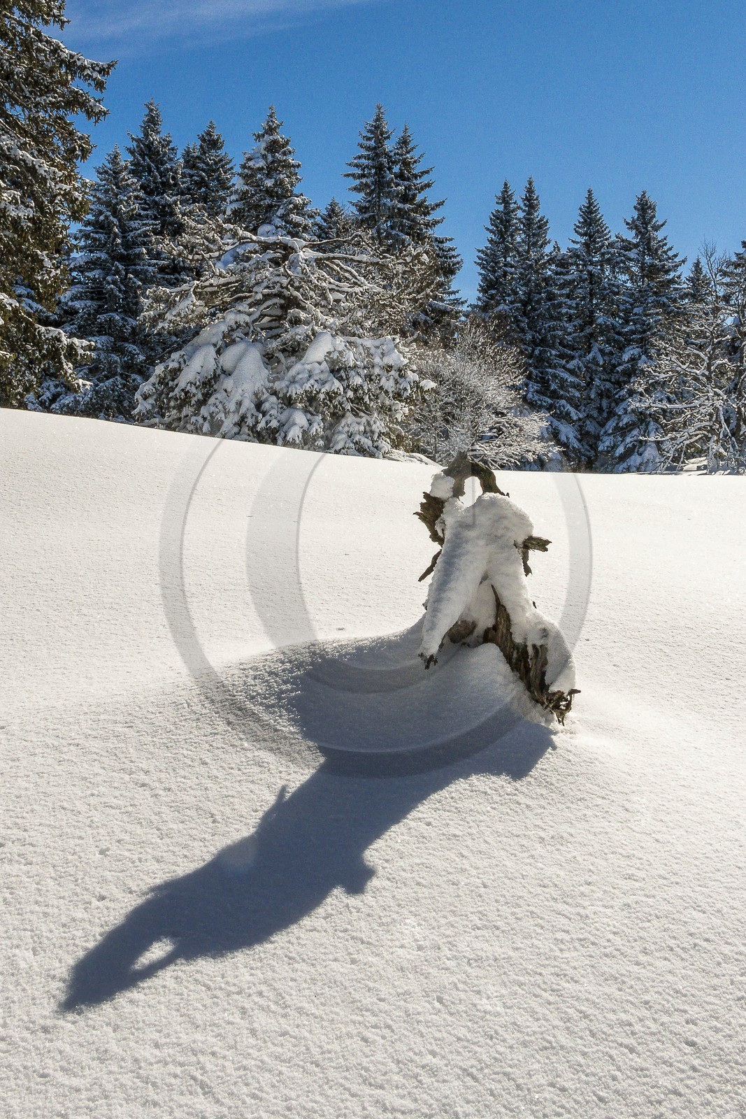 ENS de l'Isère, Plateau de la Molière et du Sornin