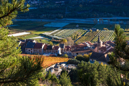 Remollon