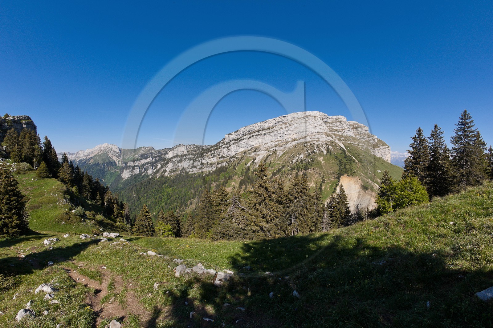 La Dent de Crolles depuis l'alpage de Pravouta