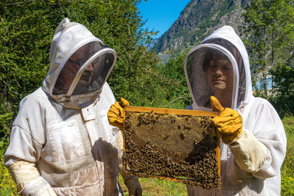 Margaux and Didier Pissard, beekeepers