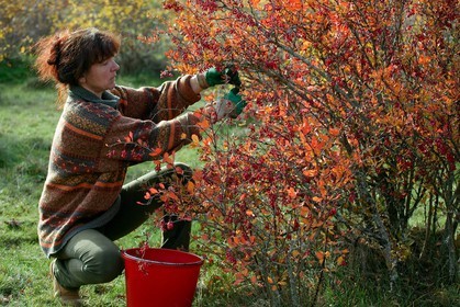 Les jardins des hautes terres de Anne Robichon