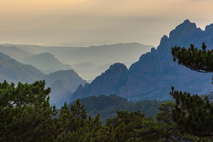 Les Aiguilles de Bavella (forchi di Bavedda )