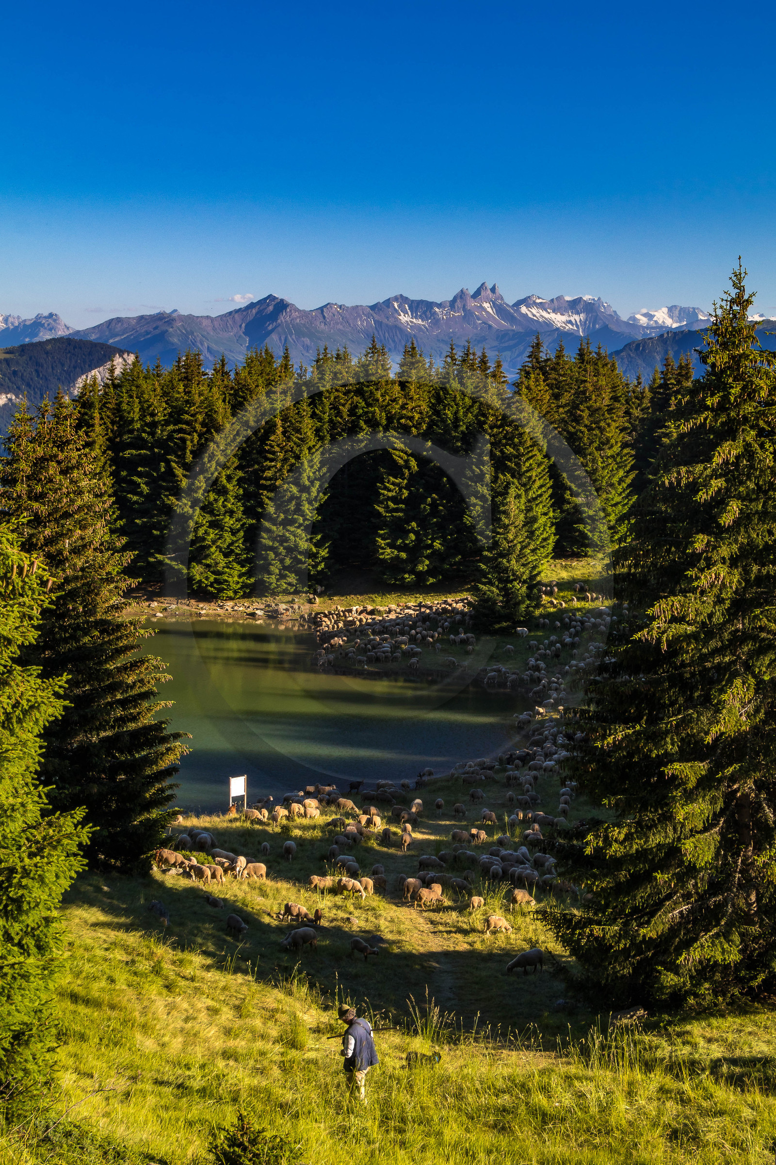 Lac de la Grande Léchère