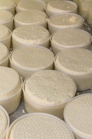 Vallée du Champsaur, fromagerie Ebrard