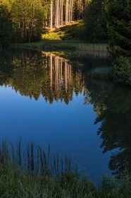 ENS de l'Isère, Marais des Seiglières