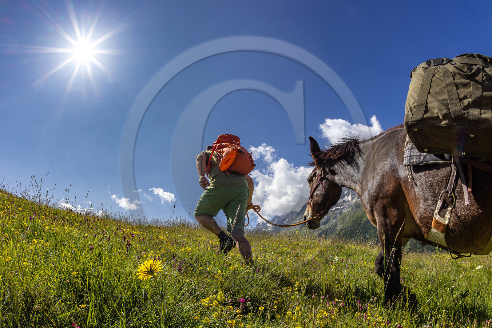 Trek famille avec animaux de bats