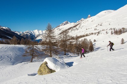 Col de Larche, vallon du lauzanier, randonnée raquettes