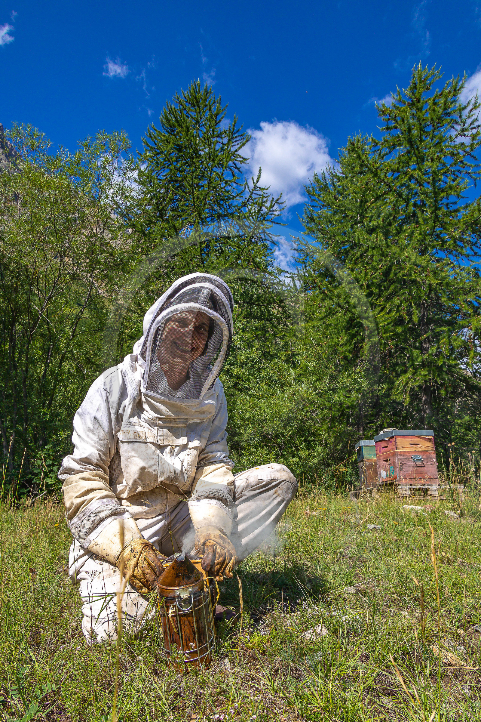 La miellerie du Lauzet