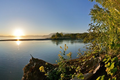 Réserve naturelle du delta de la Dranse