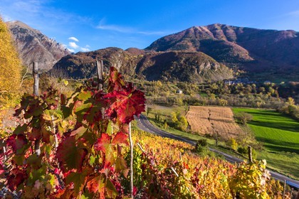 Valbonnais, Les Angelas, les vignes de Blanc-Marquis