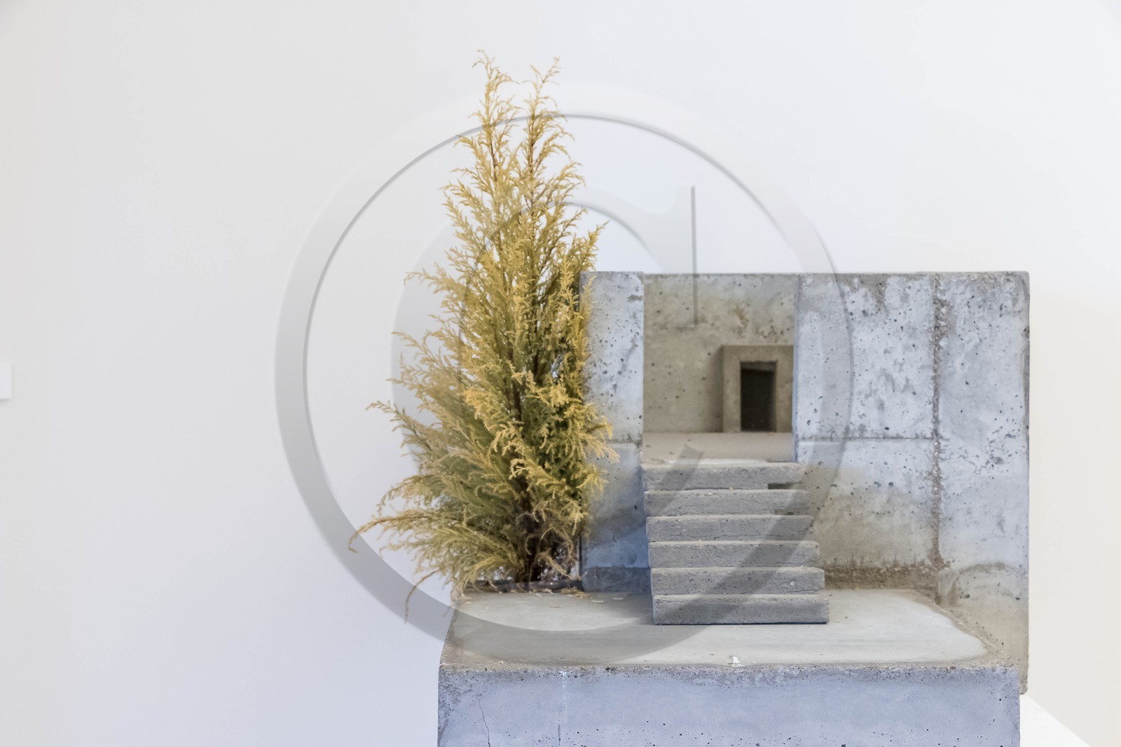 Carros, Centre international d'art contemporain (CIAC)