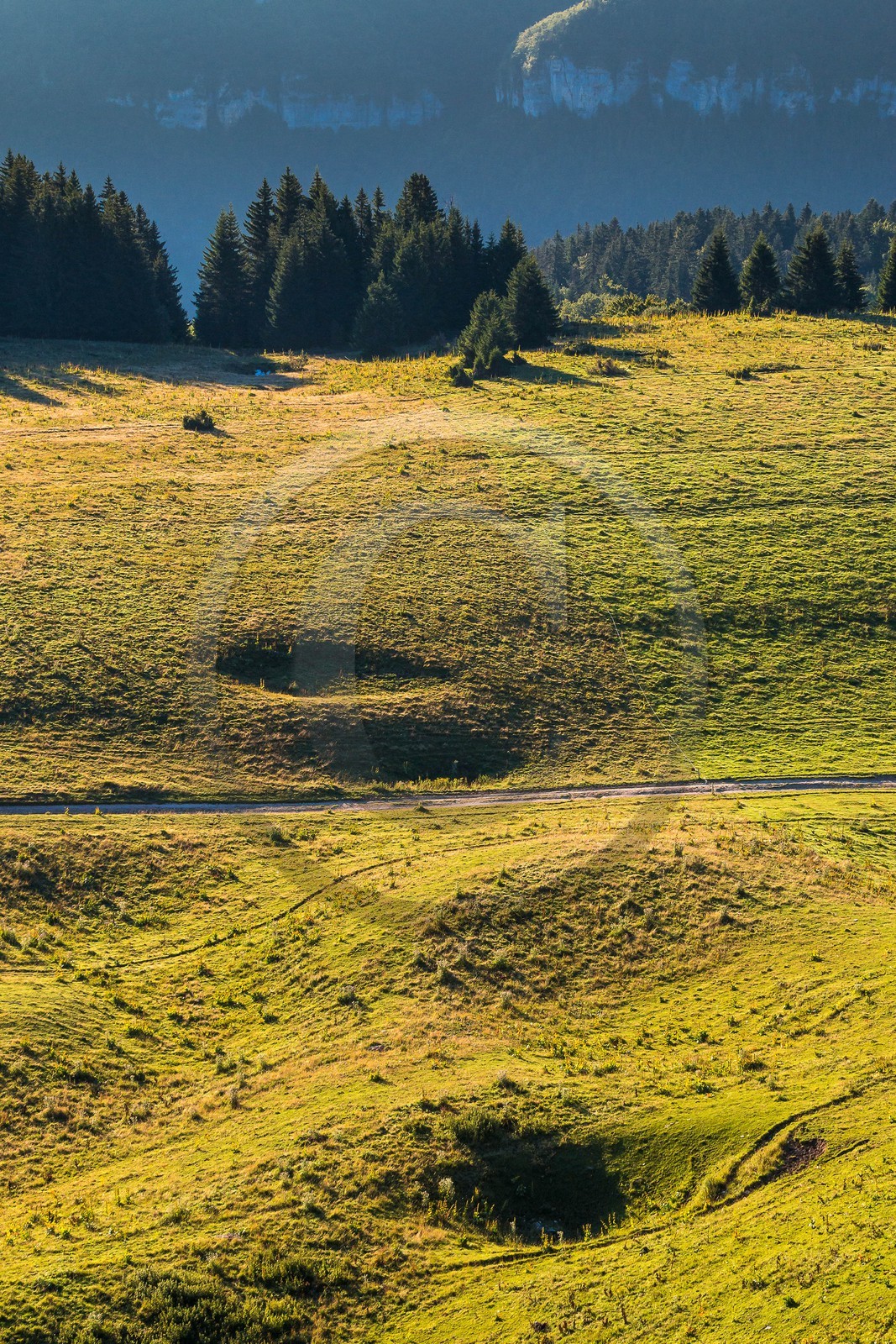 ENS de l'Isère, Plateau de la Molière et du Sornin