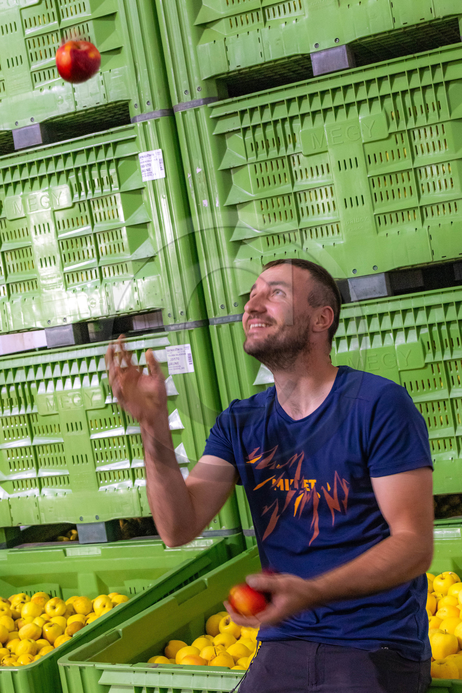 Melve, Gaec de la Maurelle, Adrien Megy