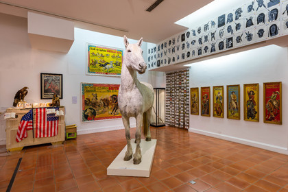 Gap, Musée Muséum départemental des Hautes-Alpes