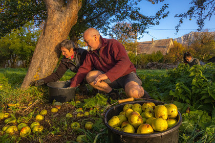 Etablissement Gayral, producteur de jus
