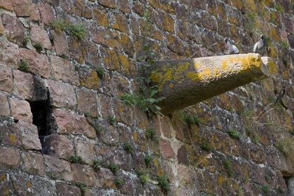 Neuf-Brisach, Fortifications Vauban inscrites au patrimoine mond