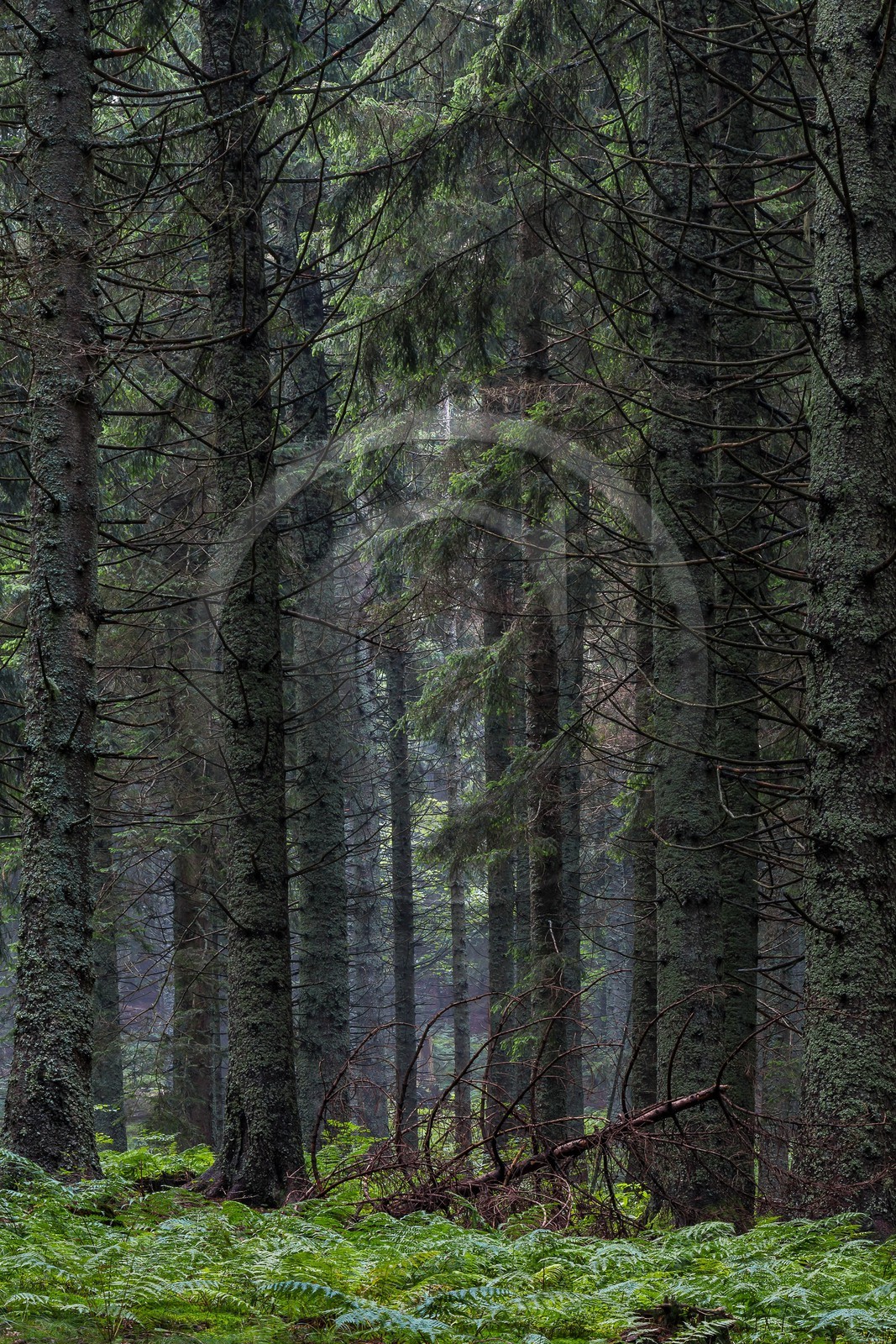 ENS de l'Isère, Les Ecouges