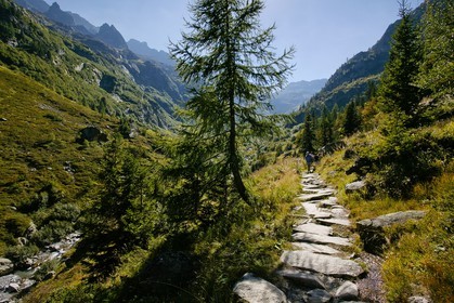 Réserve naturelle du Vallon de Bérard