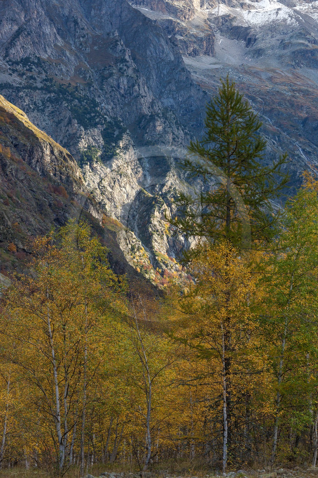 Vallée de la Bonne, village Le Désert