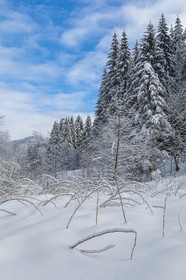 ENS de l'Isère, Les Ecouges