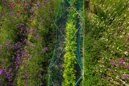 Parc écologique Terre Vivante