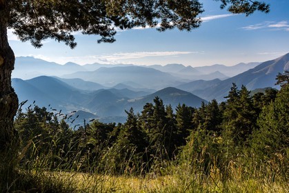 Les Monges, du col de la Pinée