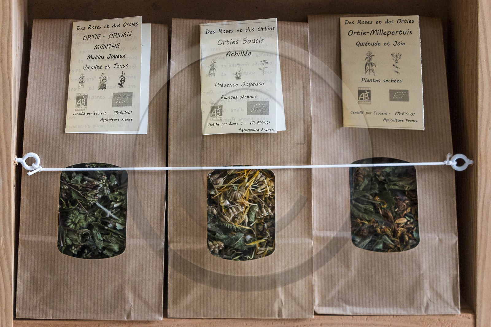 Des roses et des orties, Marie-Jo Etienne