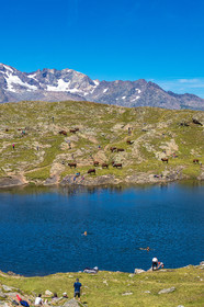 Plateau d'Emparis, randonnée pédestre