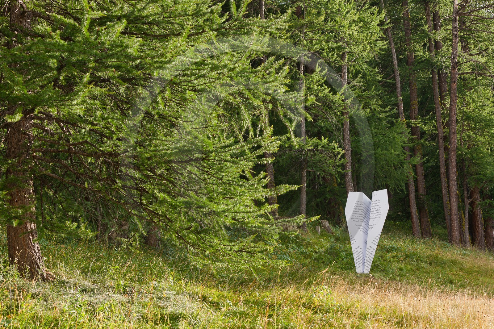 Sentiers Art et Nature Queyras et Val Varaita, Luciano di Rosa
