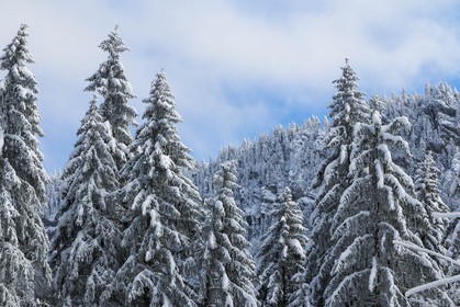 ENS de l'Isère, Les Ecouges