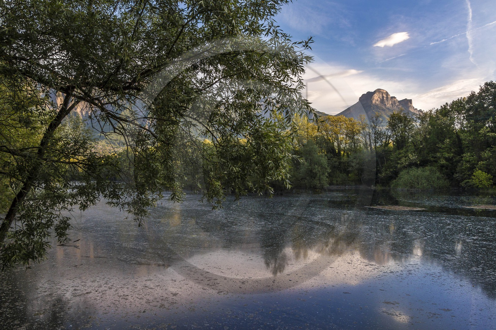 ENS de l'Isère, bois de la Bâtie
