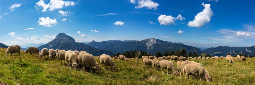 Espace naturel sensible de l'Isère, Col du Coq