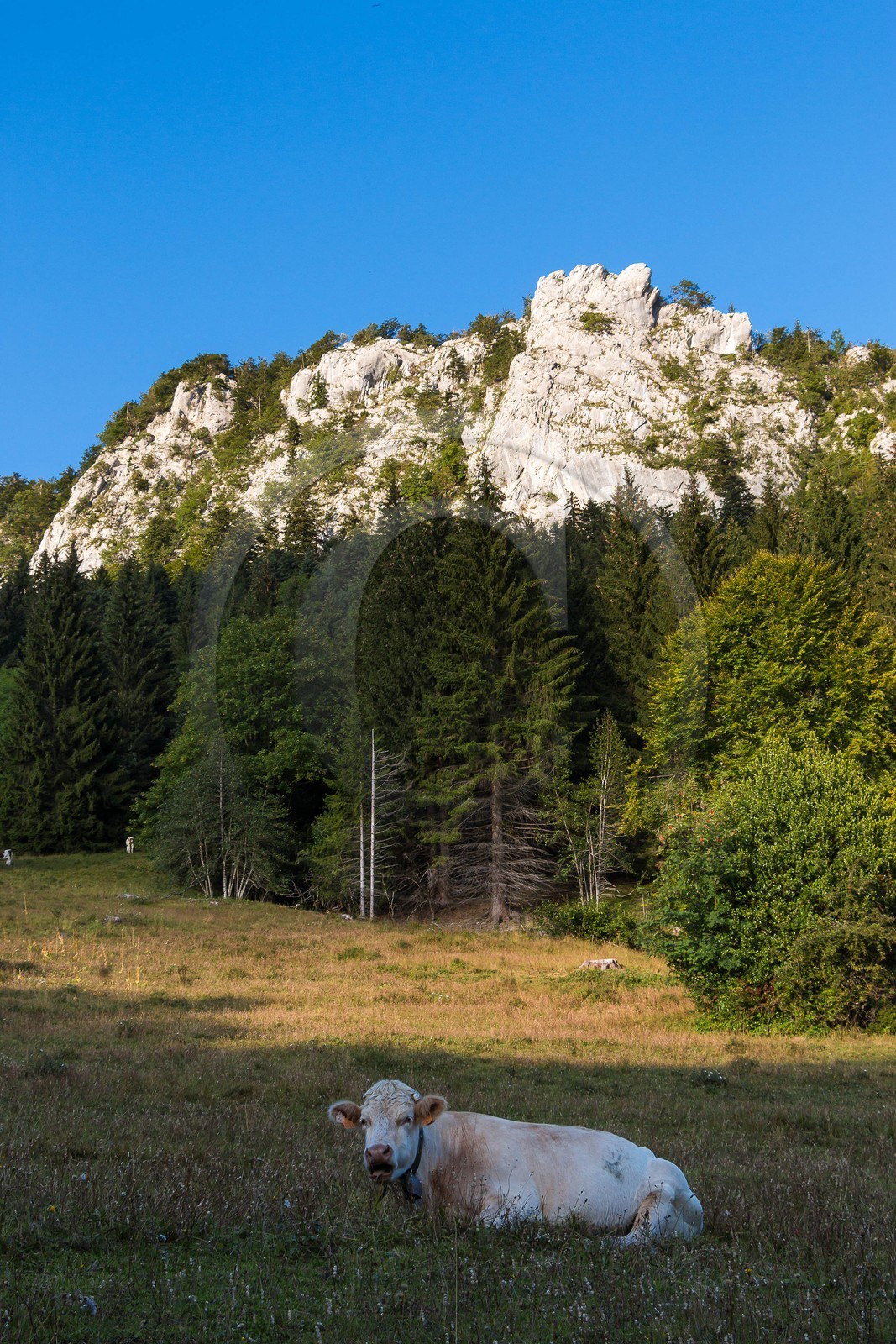 ENS de l'Isère, Les Ecouges
