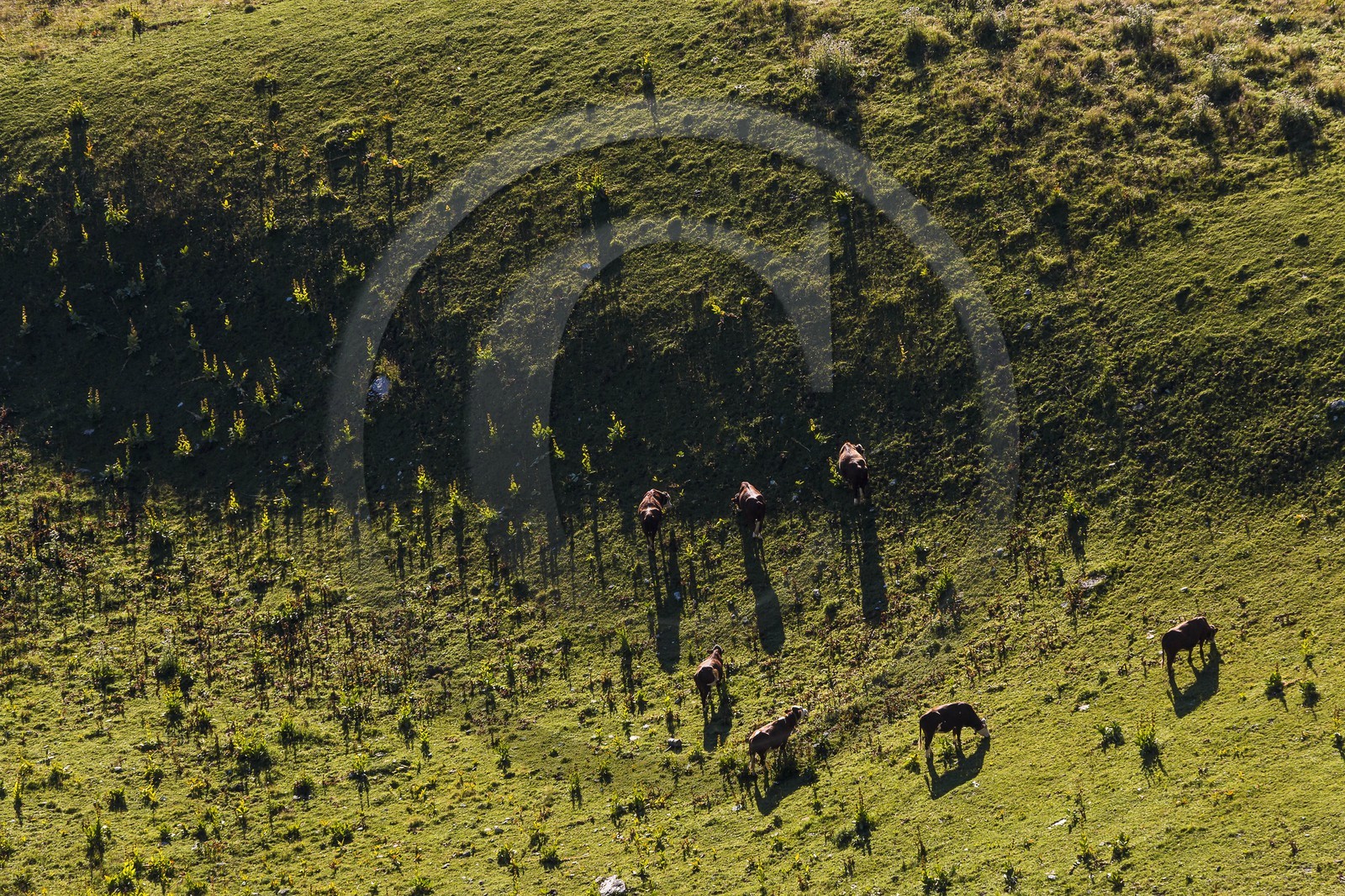 ENS de l'Isère, Plateau de la Molière et du Sornin